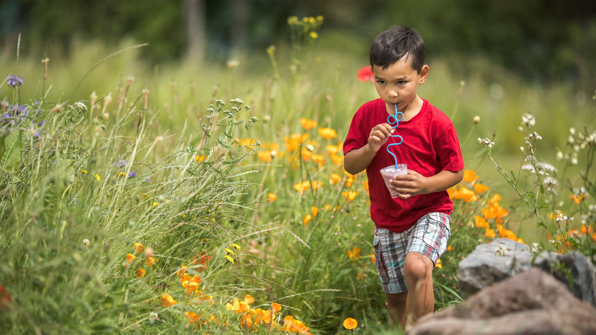 Child sipping drink in field